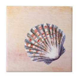 Modern watercolor background Seashell Painting