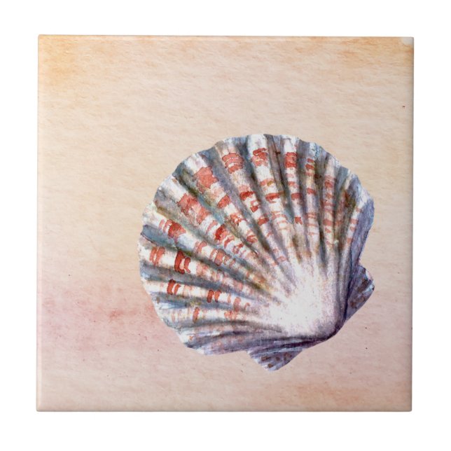 Modern watercolor background Seashell Painting (Frente)