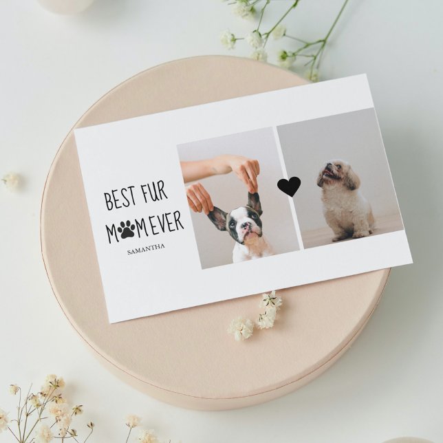 Moderna Melhor Pele Mãe De Todos Os Dias | Foto de (Criador carregado)