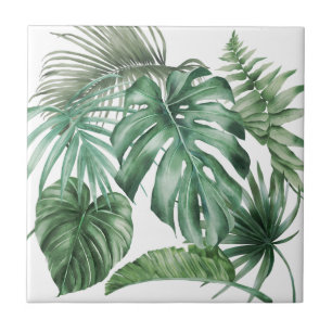 Moderna Watercolor Monstera Folhas Tropicais