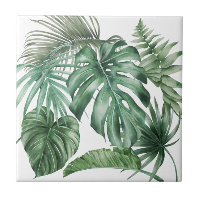 Moderna Watercolor Monstera Folhas Tropicais (Frente)