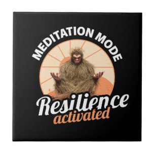 Modo de Meditação: Resistência Ativada Pé-Grande