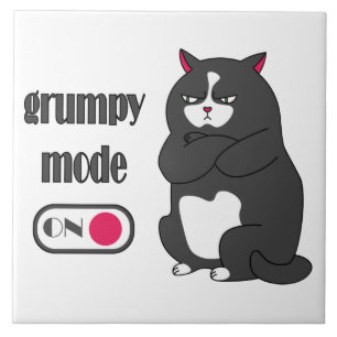 Modo rabugento em gato gordo engraçado