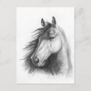 Moe o cartão postal do retrato de Morgan