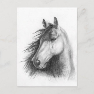 Moe o cartão postal do retrato de Morgan