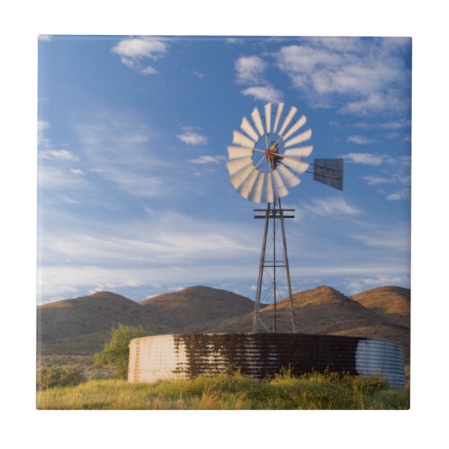 Moinho de Vento e Barragem no Karoo ao Nascer do S (Frente)