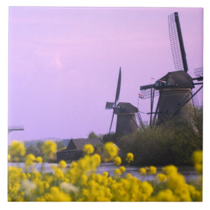 Moinhos de vento ao longo do canal em Kinderdijk,