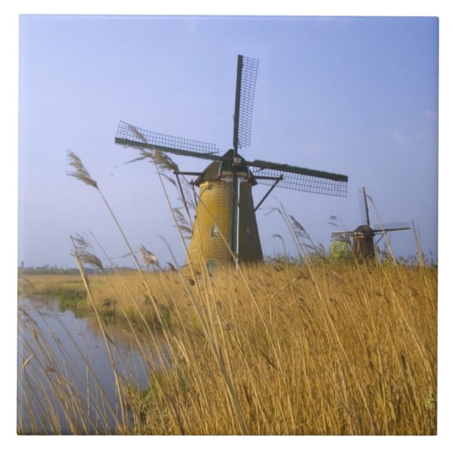 Moinhos de vento ao longo do canal em Kinderdijk,  (Frente)