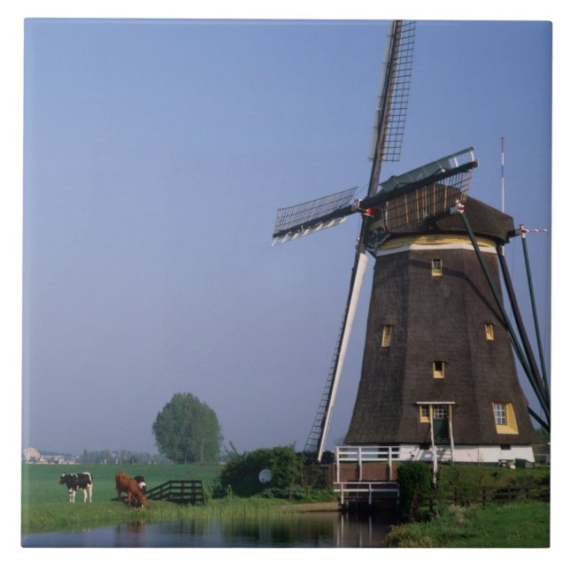 Moinhos de vento, Leidschendam, Holanda (Frente)