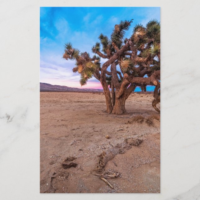Mojave Joshua Tree (Frente)