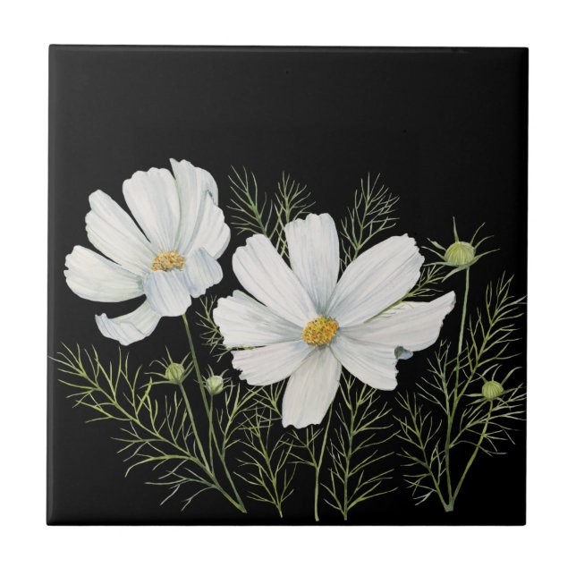 Mola-d-água Branca de Cosmos Flores Botânicas (Frente)