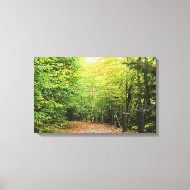 Molas de Canvas de floresta (Frente)
