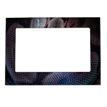 Quadro de Placa de Licença de cobra