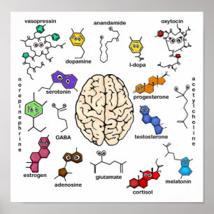 Moléculas Galore! Pôster