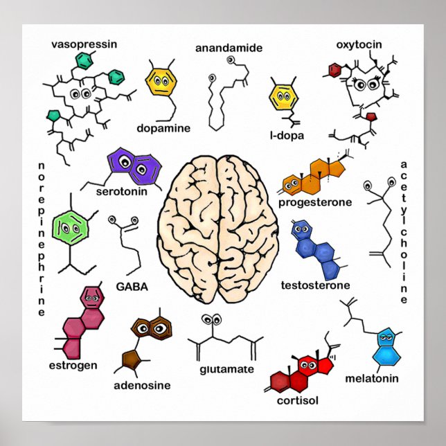 Moléculas Galore! Pôster (Frente)
