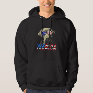 Moletom 4 De Julho Labrador Retriever Merica American Fla