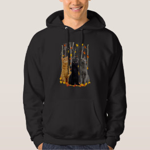 Moletom Alô Autumn Maple Cats Leaf Fall Heart Cat