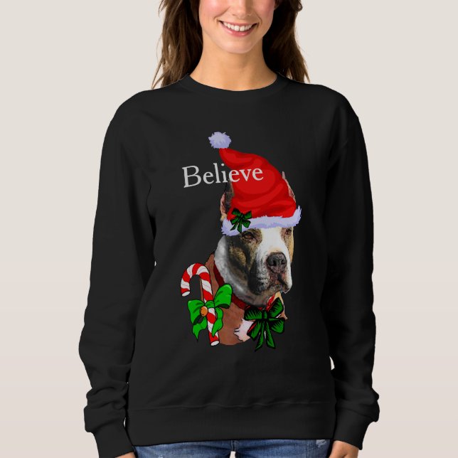 Moletom American Pit Bull Terrier Natal (Frente)