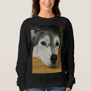 Moletom Amigo Leal Siberian Husky Scoop