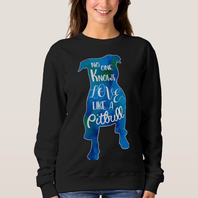 Moletom Amor Como Uma Cor Azul Pitbull (Frente)