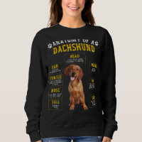 Anatomia Dachshund Para Homens