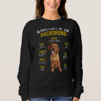 Anatomia Dachshund Para Homens