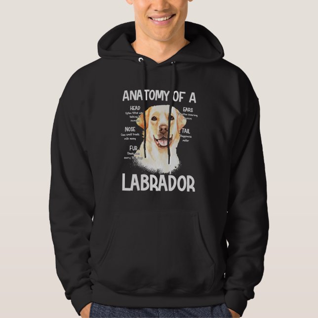 Moletom Anatomia De Labrador Para Cachorros (Frente)