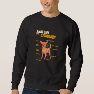 Moletom Anatomia De Um Chihuahua Roupas Para Ele E Ela