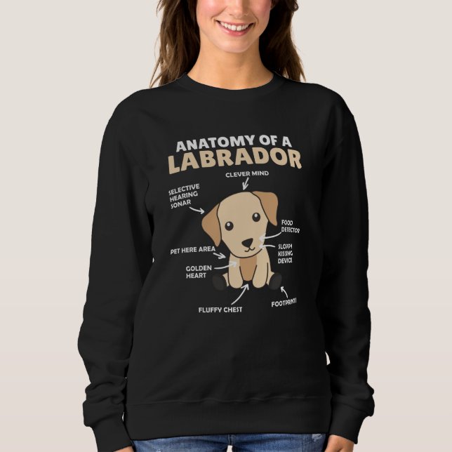 Moletom Anatomia De Um Labrador Retriever Cães Doce (Frente)