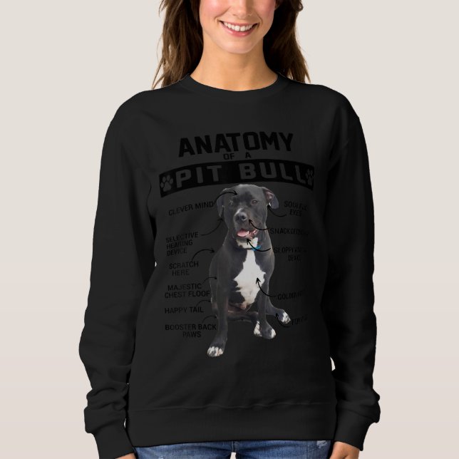 Moletom Anatomia Engraçada De Um Cachorro De Pet Do Labrad (Frente)