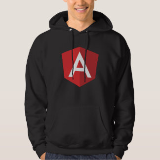Moletom Angular js Developer  Front end Developer Angular 