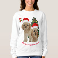 Animais de Natal