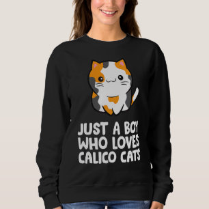 Moletom Apenas Um Menino Que Ama Gatos De Calico