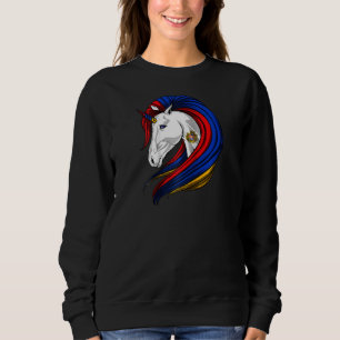 Moletom Armênia Flag Armenian Raglan
