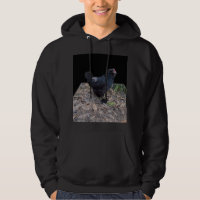 Arte Dimensionada De Galo Fluffy Preto,