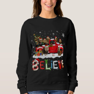 Moletom Árvore de Natal de Caminhão Vermelho Acreditem Pap