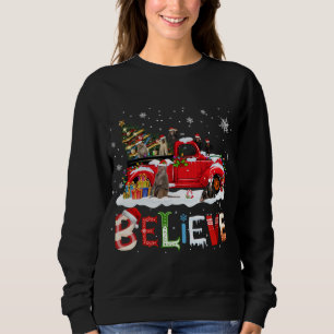 Moletom Árvore de Natal de Caminhão Vermelho Acreditem San