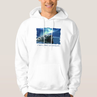 Moletom AURORA SONHANDO O Urso Polar Hoodie