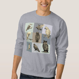Moletom AVES, papagaios, corujas, pombos, kookaburra