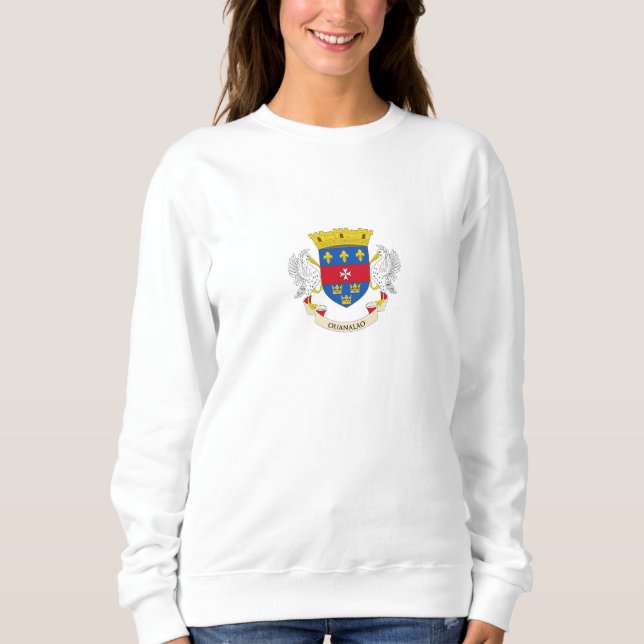 Moletom Bandeira de São Bartolomeu (Frente)