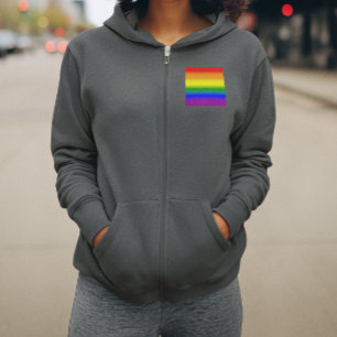 Moletom Bandeira do Orgulho LGBTQ+ Arco-íris Gradiente - B