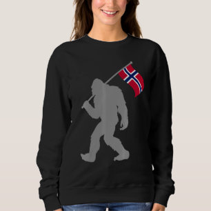 Moletom Bandeira Norge Ou Norueguesa Na Bandeira Da Norueg