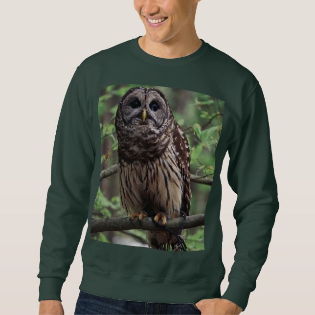 Moletom Barred Owl (Frente)