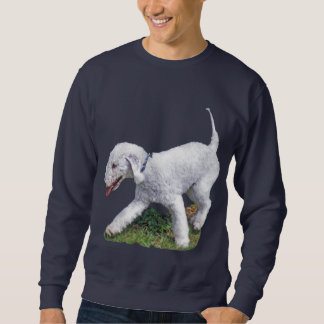 Moletom Bedlington Terrier