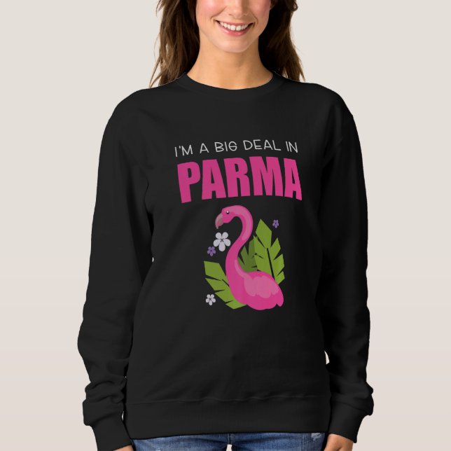 Moletom Big Deal Sarcastic Funny Parma Ohio Pink Flamingo (Frente)