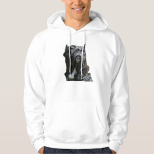 Moletom Big Dog Hoodie