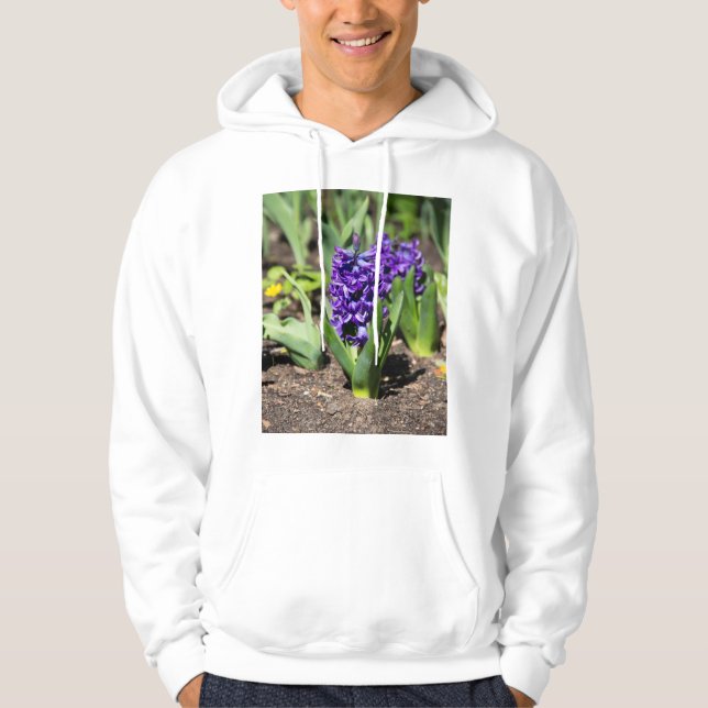 Moletom Blue Geocinth em primavera (Frente)