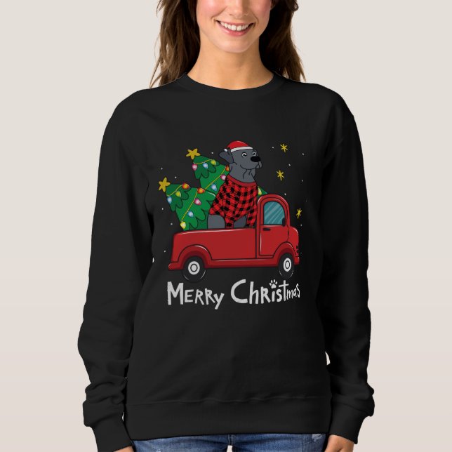 Moletom Blue Lace Christmas  Truck  Blue Lacy (Frente)