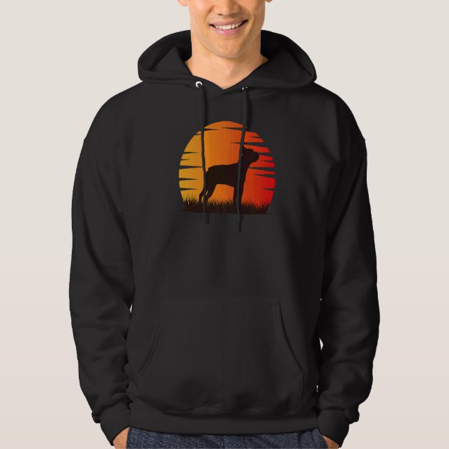 Moletom Boston Terrier Dog Retro 16 (Frente)