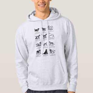 MOLETOM CACHORAS CLÁSSICAS